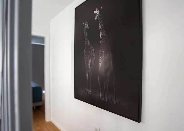 度假居 Casanova By Lovelystay 圣克鲁斯